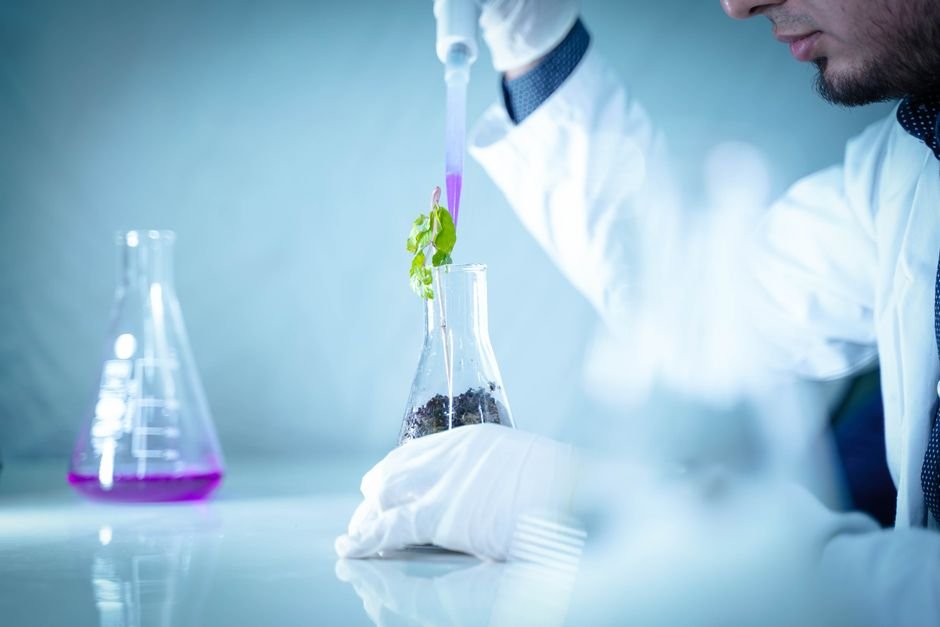 Scientist working in a laboratory at a top university in USA for biotechnology